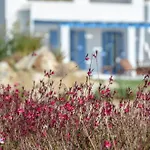 Villa Natura In Naxos