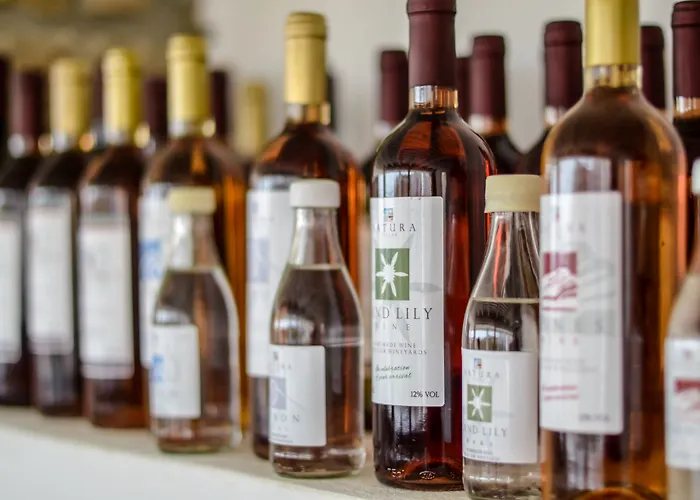 Natura In Naxos Vila *