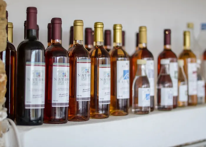 Natura In Naxos Vila *