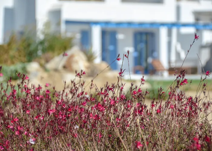Vila Natura In Naxos